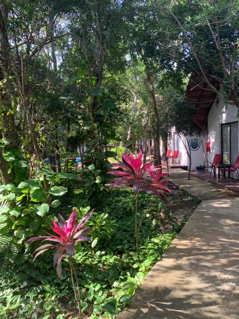 Ecovergel Hotel Riviera Maya photo 1