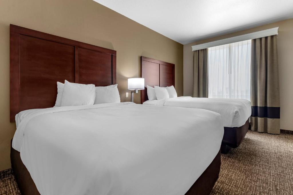 Comfort Inn & Suites, White Settlement-Fort Worth West, TX photo 3