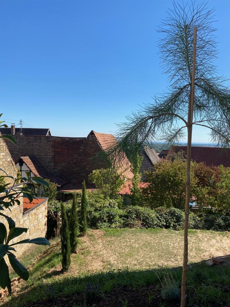 Atelier de Pfalz-Loftstyl mit Pfalzblick photo 4