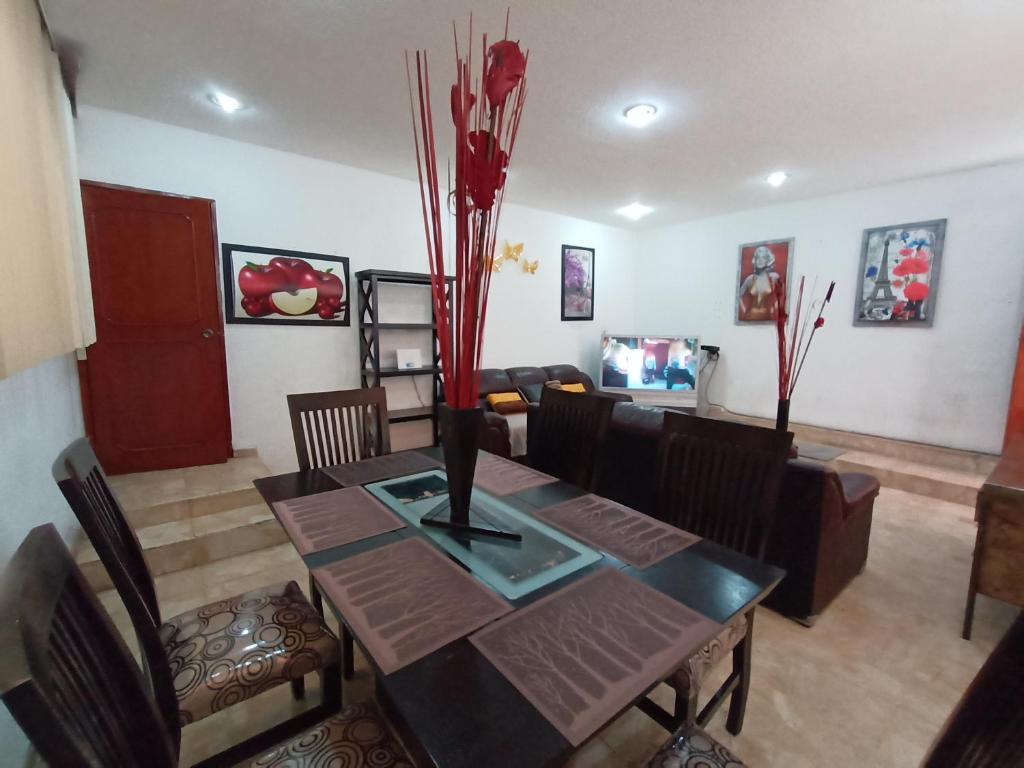 Toluca Casa Centrica photo 3