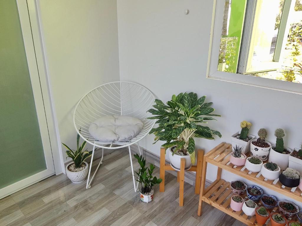 Nhiên Homestay - The Green House