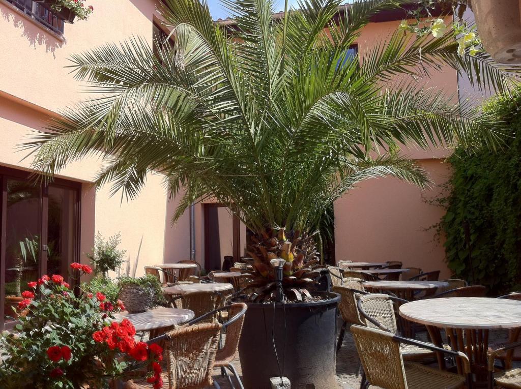 Hotel Arte Vida OHG photo 4