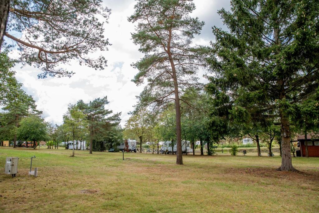 Naturcamping Lüneburger Heide - Chalets & Tiny Häuser photo 3
