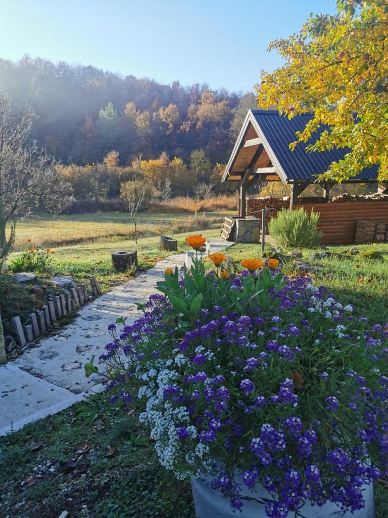 Apartman Sveti Rok photo 1
