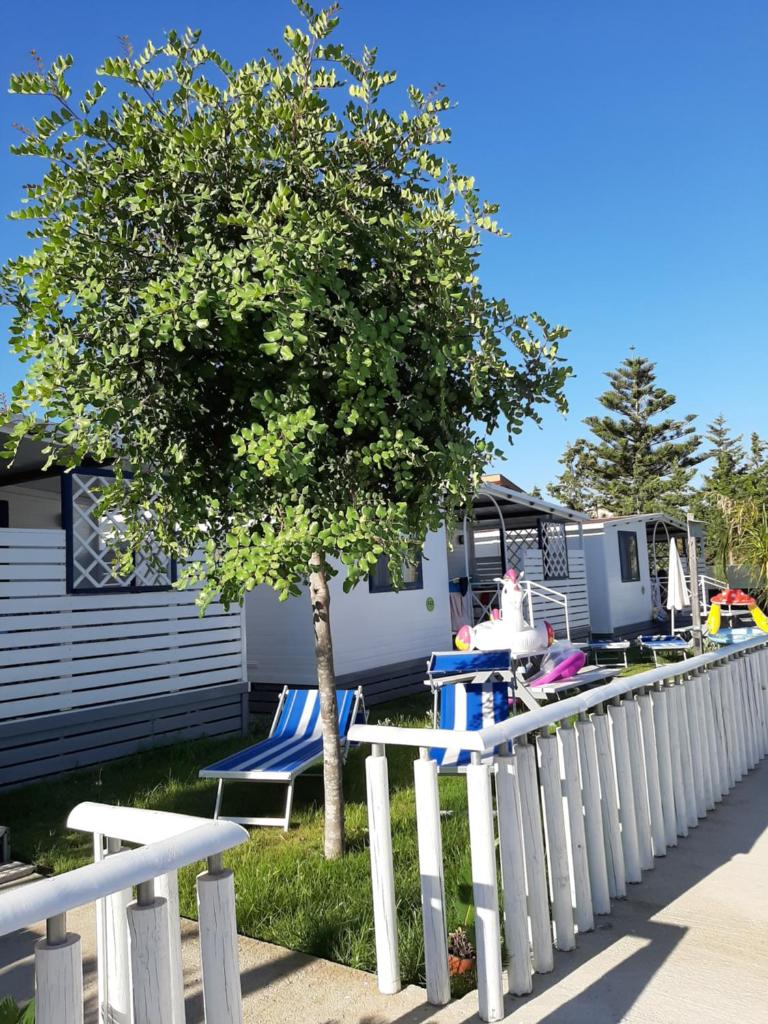 Campeggio Praia Mare photo 1