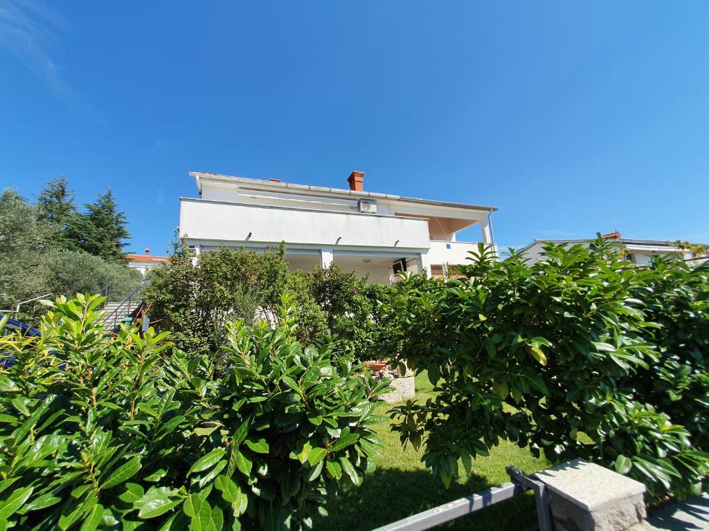 Apartmani Alta photo 4