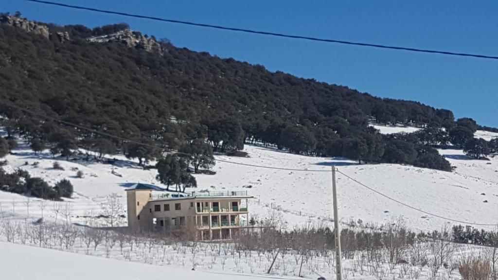 Le Chêne d´Azrou photo 4
