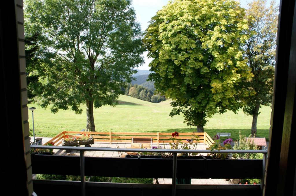 Hotel Pension Fernblick photo 4