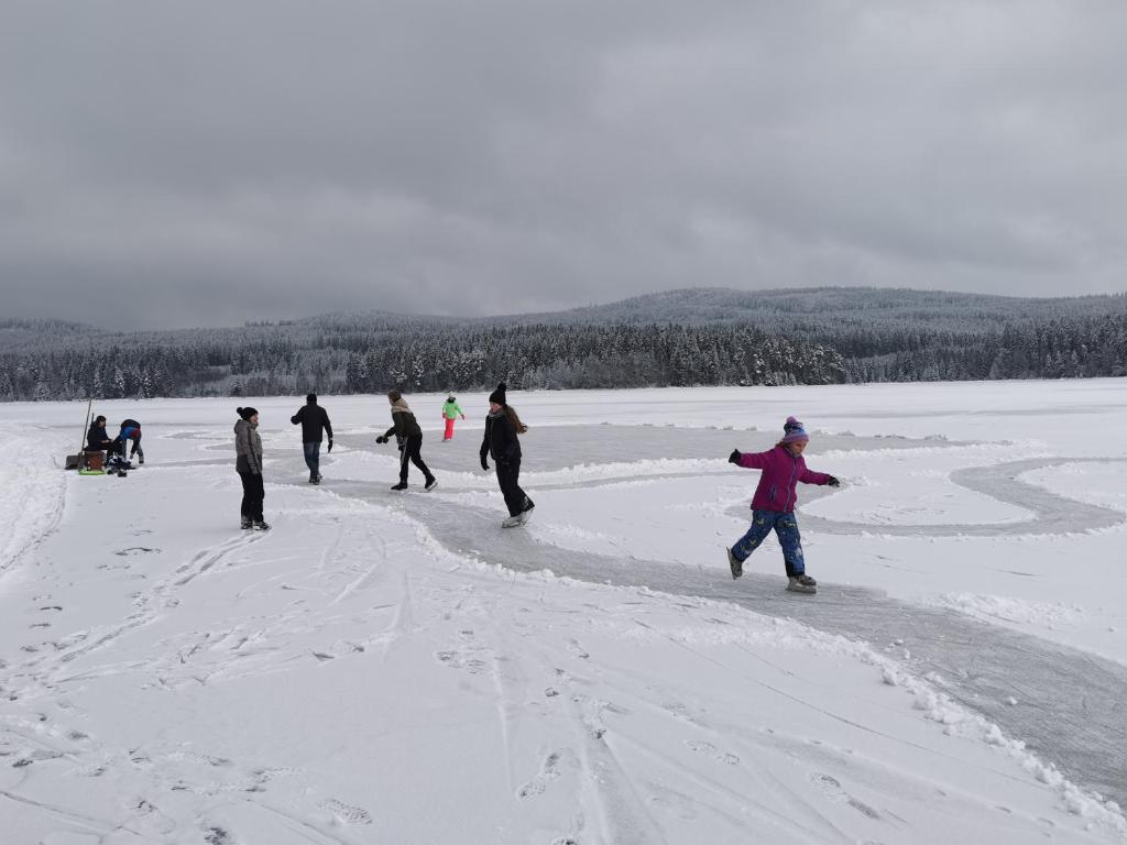 Lipno-Lake photo 3