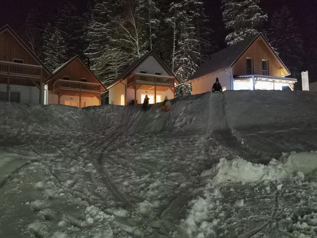 Lipno-Lake photo 4
