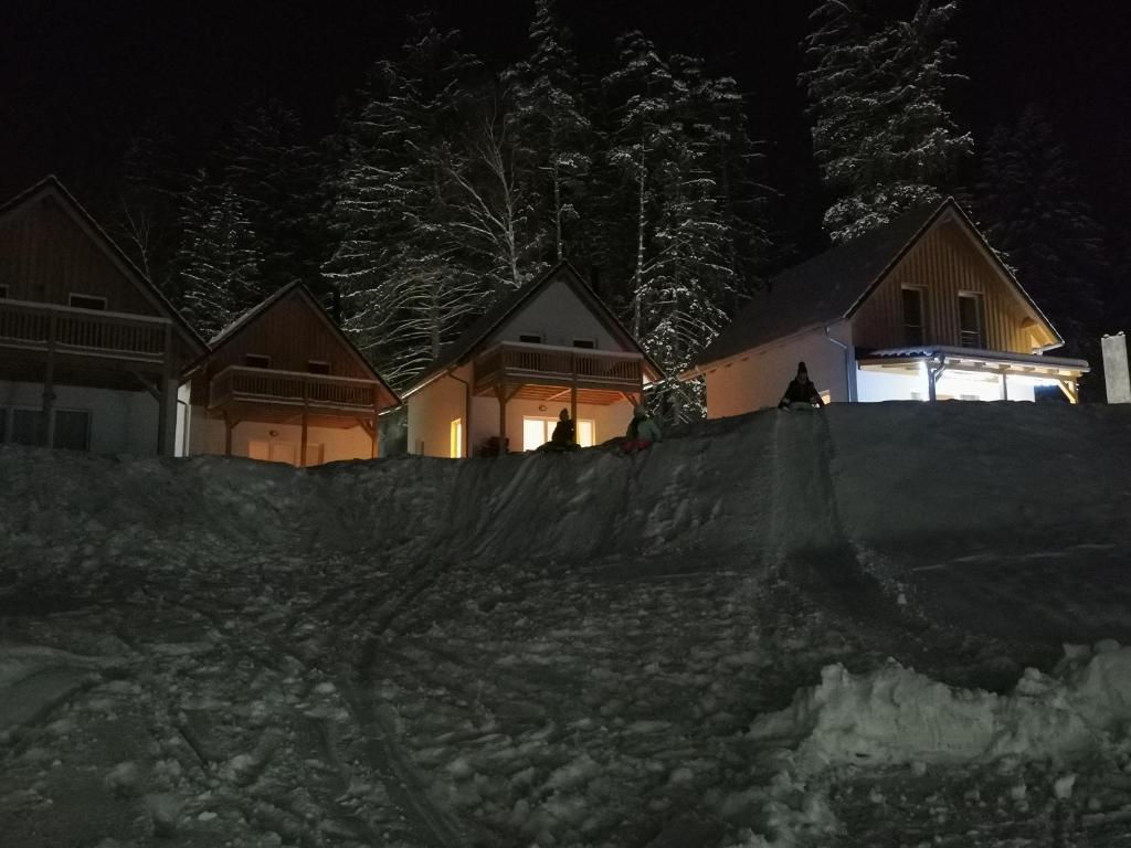 Lipno-Lake photo 2