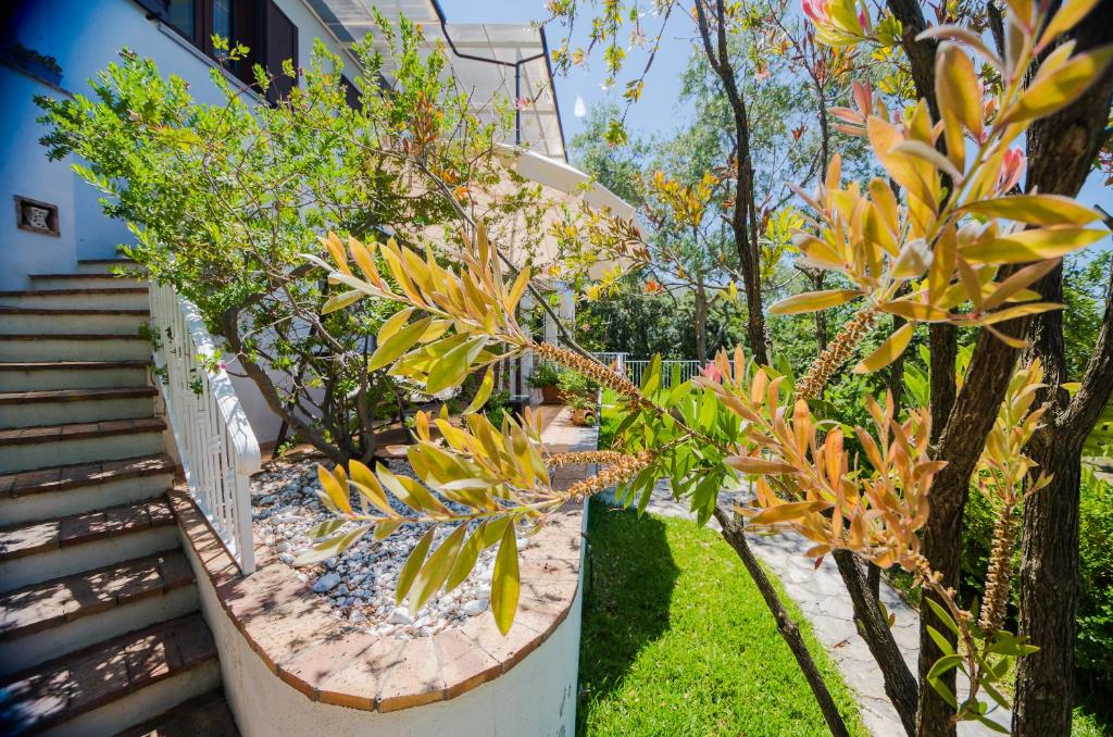 B&b La Giara photo 4