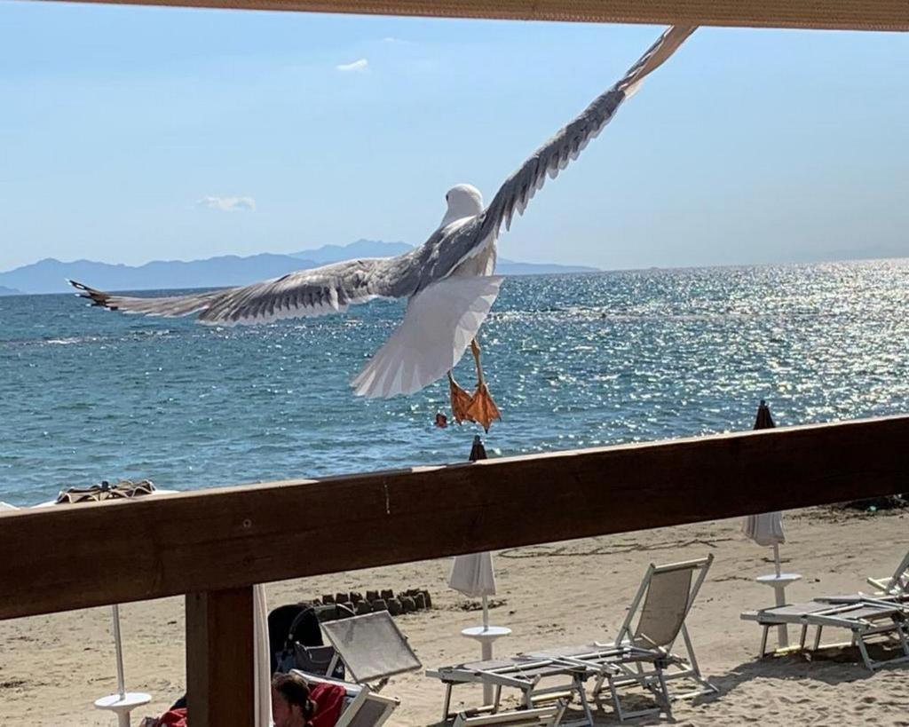 Golfo del Sole Holiday Resort photo 4