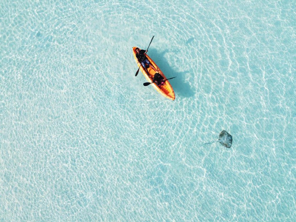 Ocean Pearl Maldives photo 4
