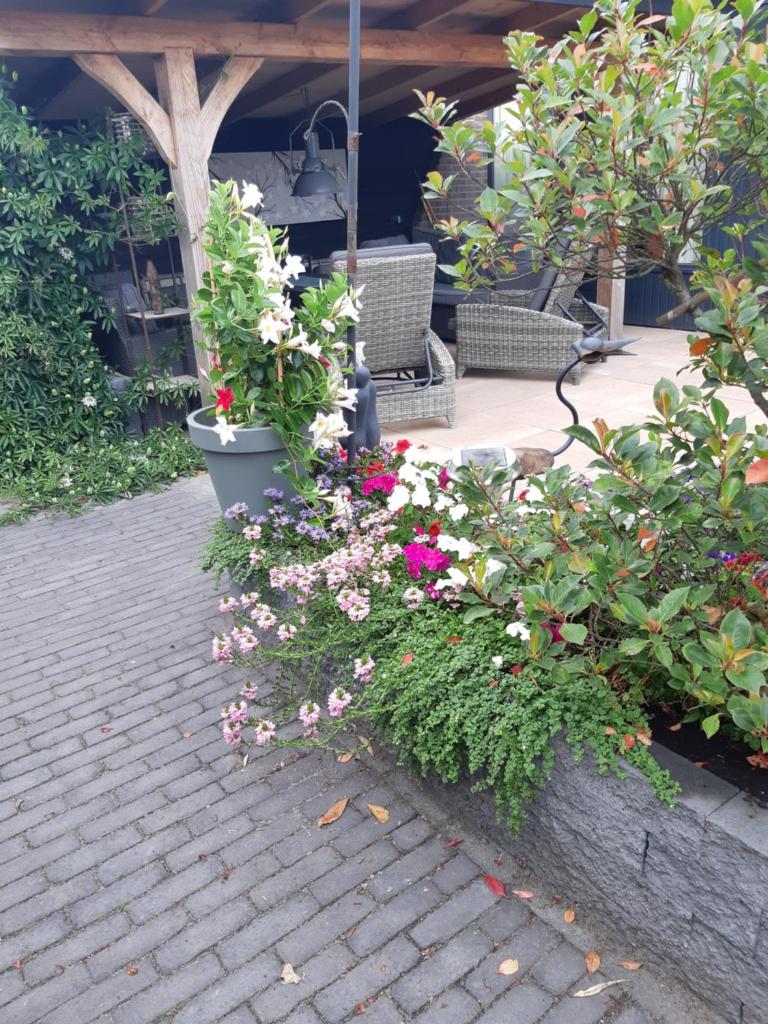 BenB Weerribben Wieden photo 1