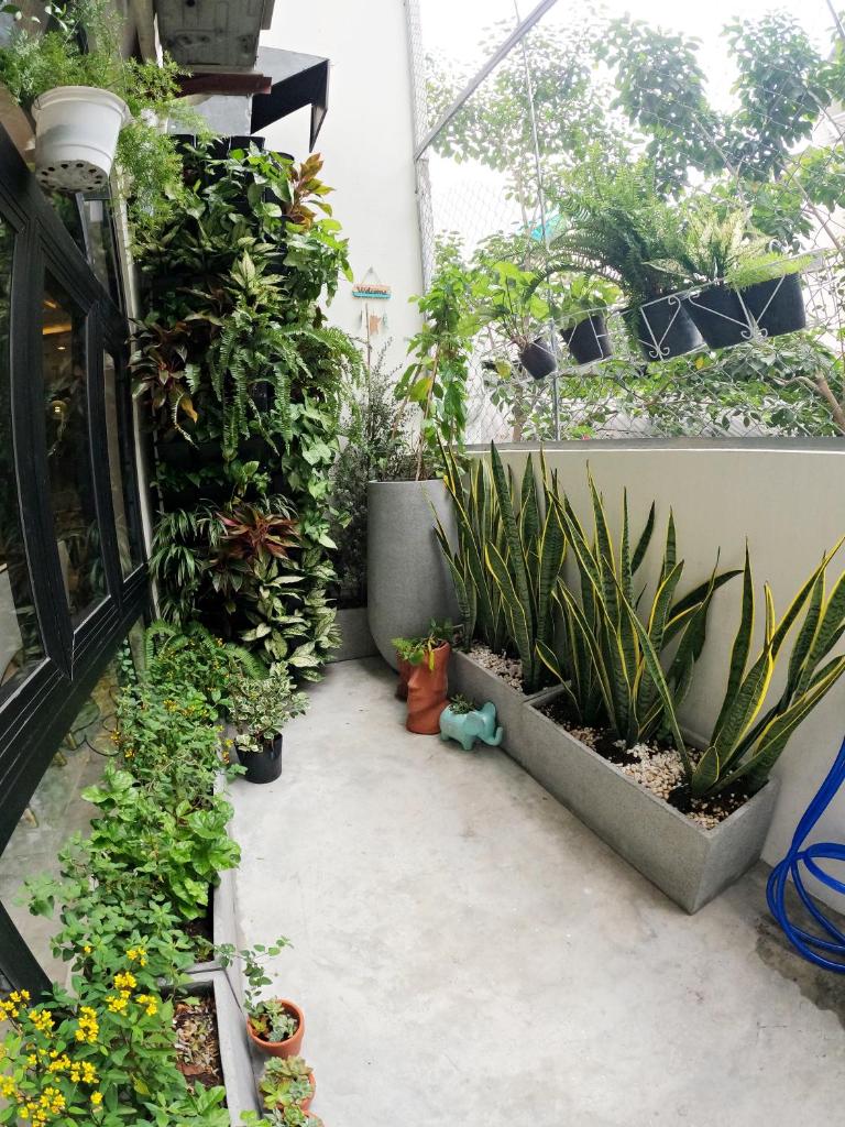 Dinh Phat Hotel