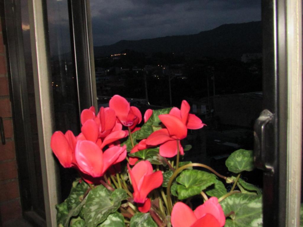Hotel Ciudad Dulce photo 4