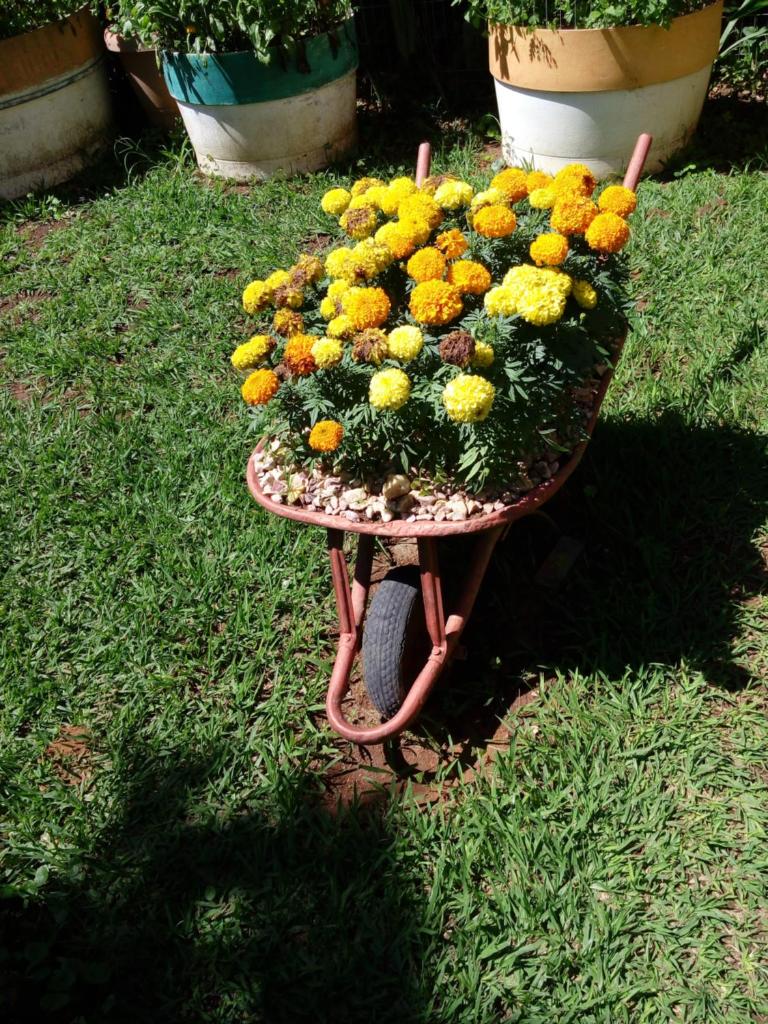Eco Pousada Jardim do Eden photo 1