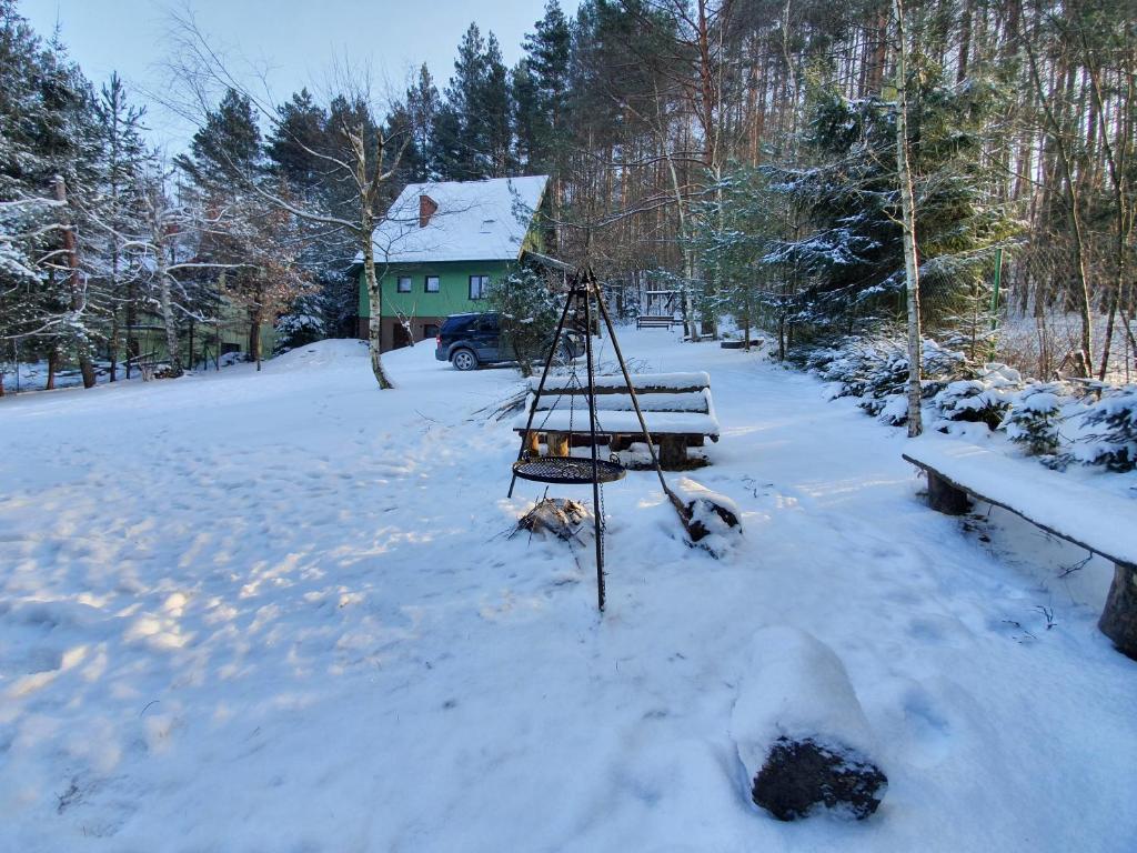 Zielony domek photo 4