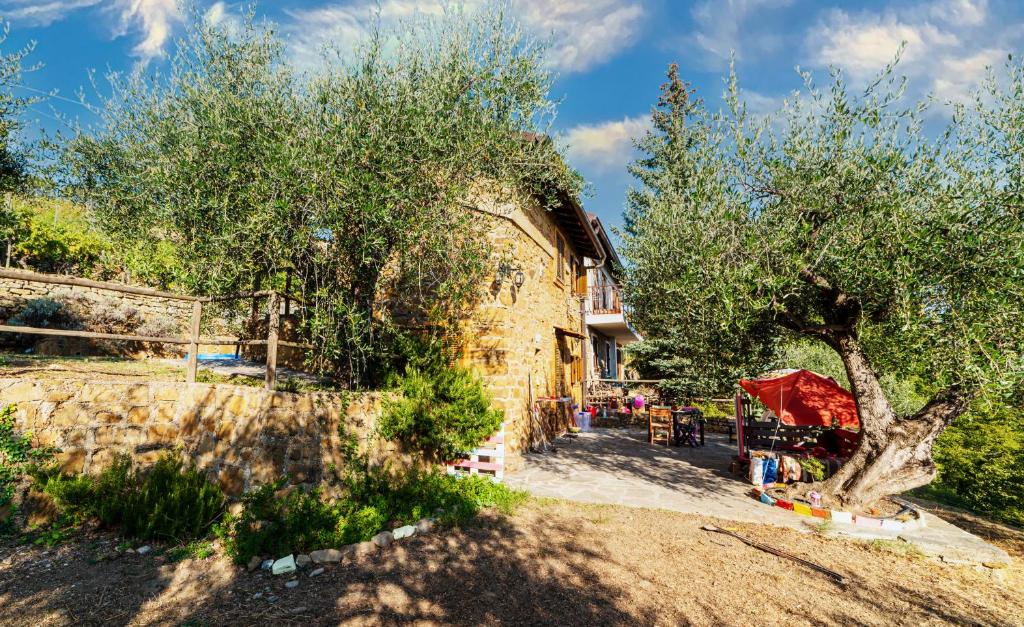 Casetta Maduneta immersa in un oliveto photo 4