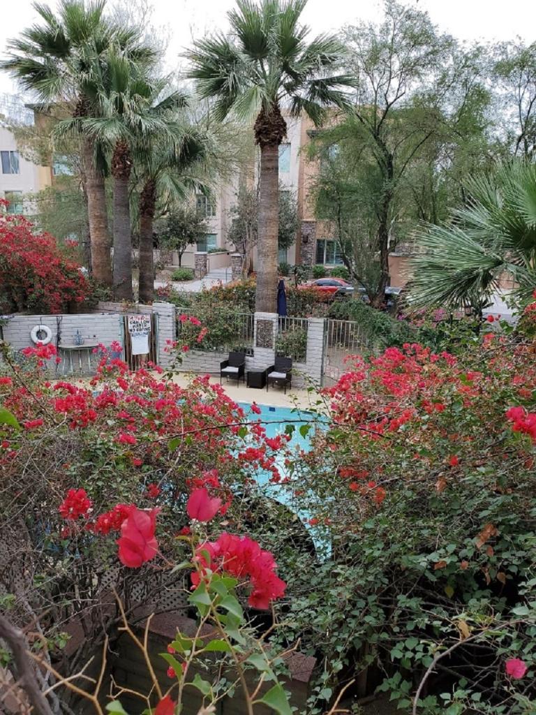 Desert Rose Villas - Private One Bedroom in Old Town Scottsdale, Phoenix