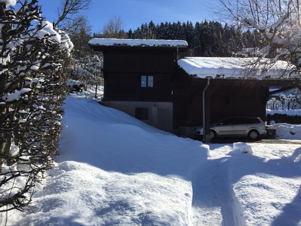 Chalet Le Grand Paddock photo 4