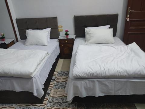 Двухместный (Улучшенный двухместный номер с 1 кроватью), Pyramids guest house hotel