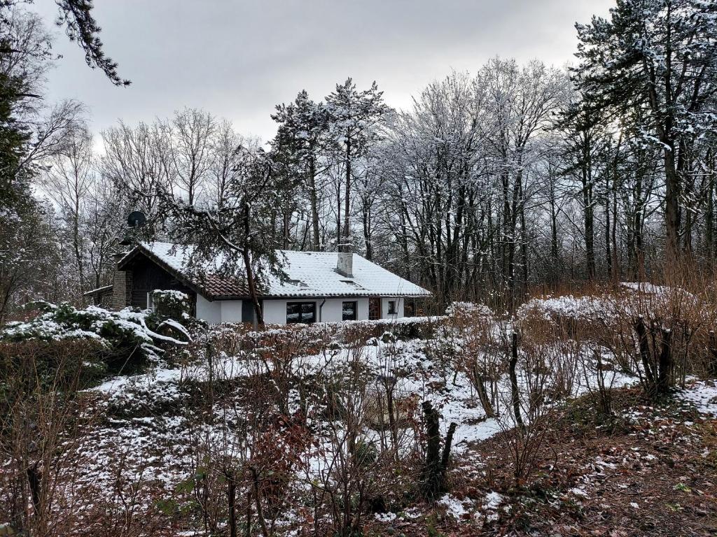 Chalet des pins d'Autriche photo 1