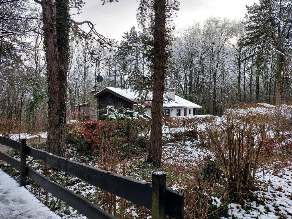 Chalet des pins d'Autriche photo 2