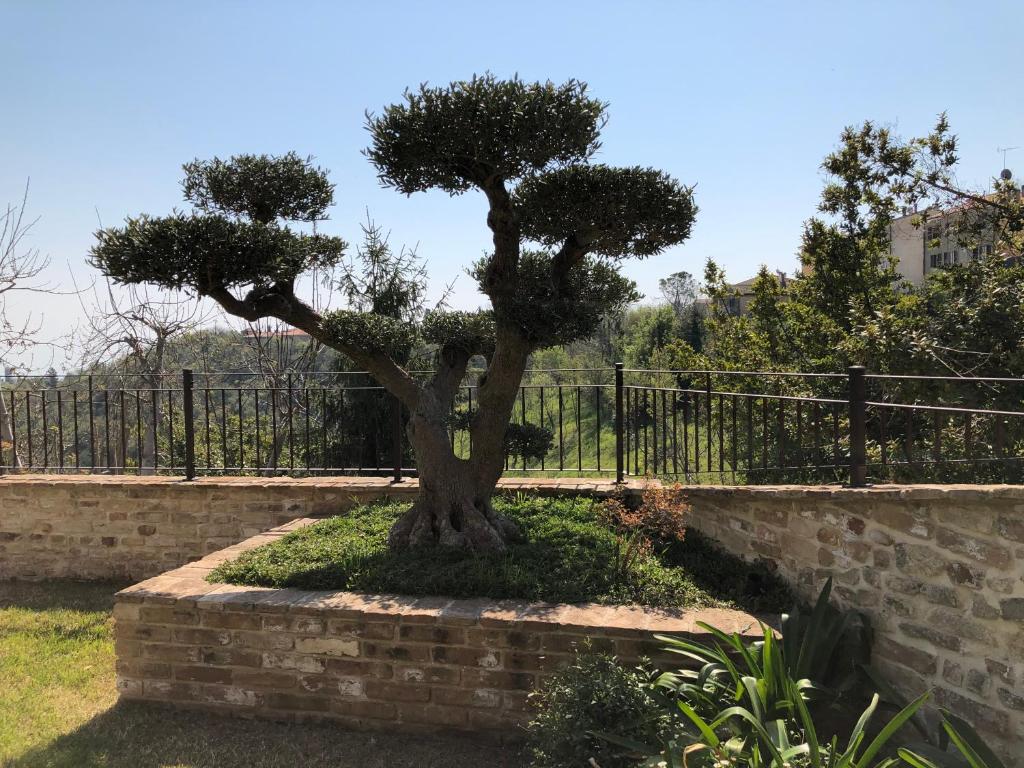 L'Ulivo nel Borgo B&B photo 1