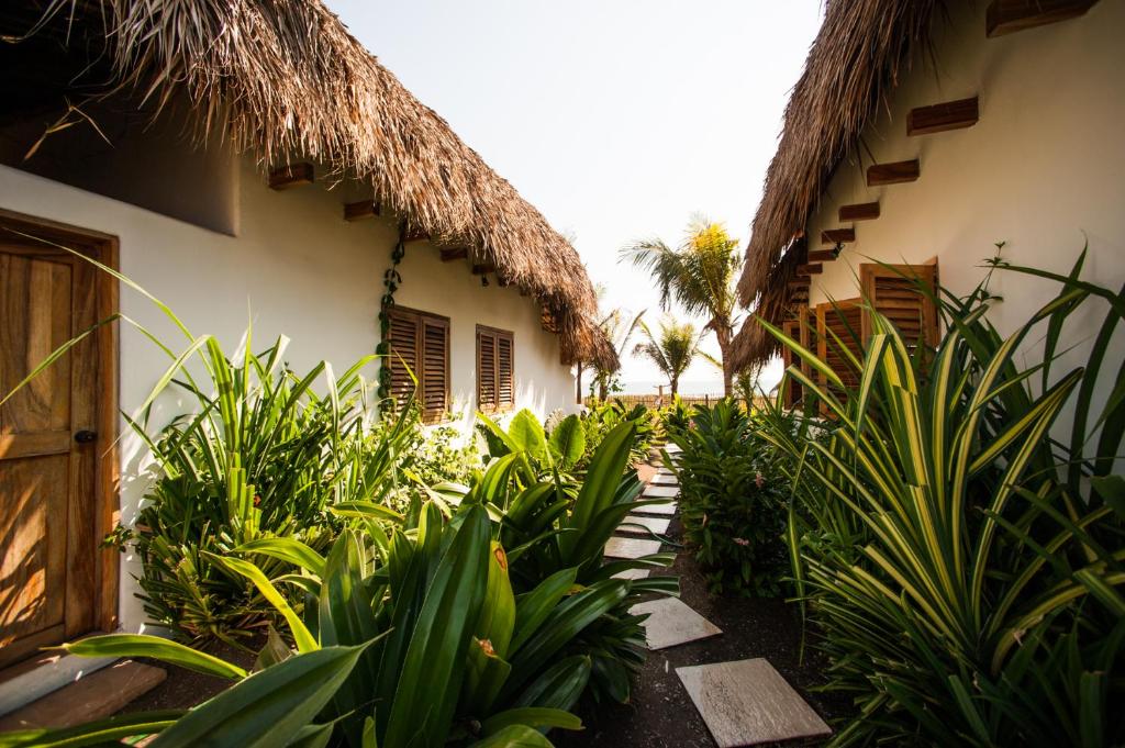 Paredon Surf House photo 3