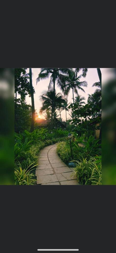 The Village Anjuna photo 4
