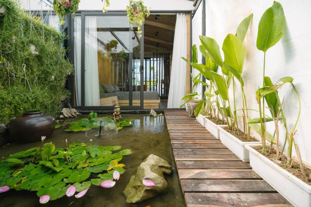 LotusHomestayHanoi- Oasis View 2