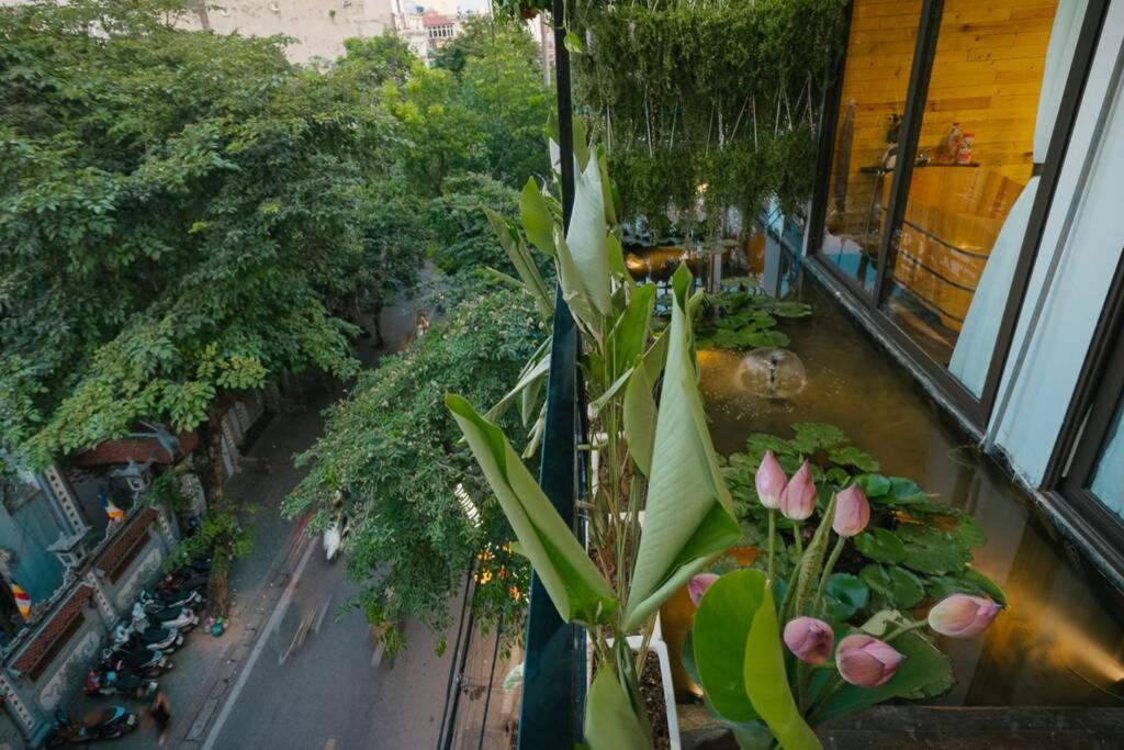 LotusHomestayHanoi - Pagoda View 2