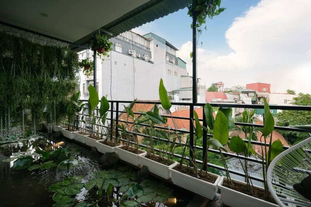 LotusHomestayHanoi - Pagoda View 2