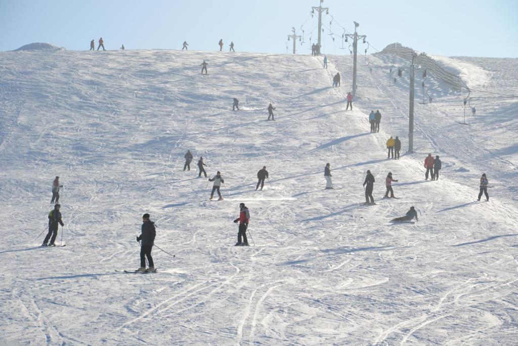 Ski Rostovo - Hotel Rostovo & Ethno Village photo 4