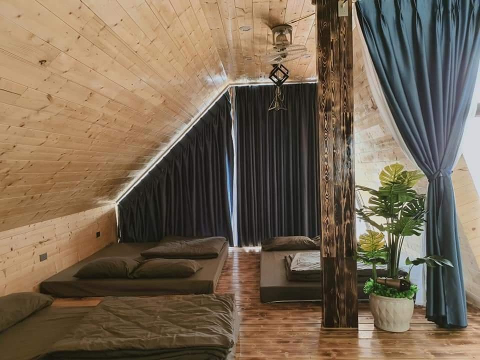 Bách Xanh House. Nhà Đa Giác