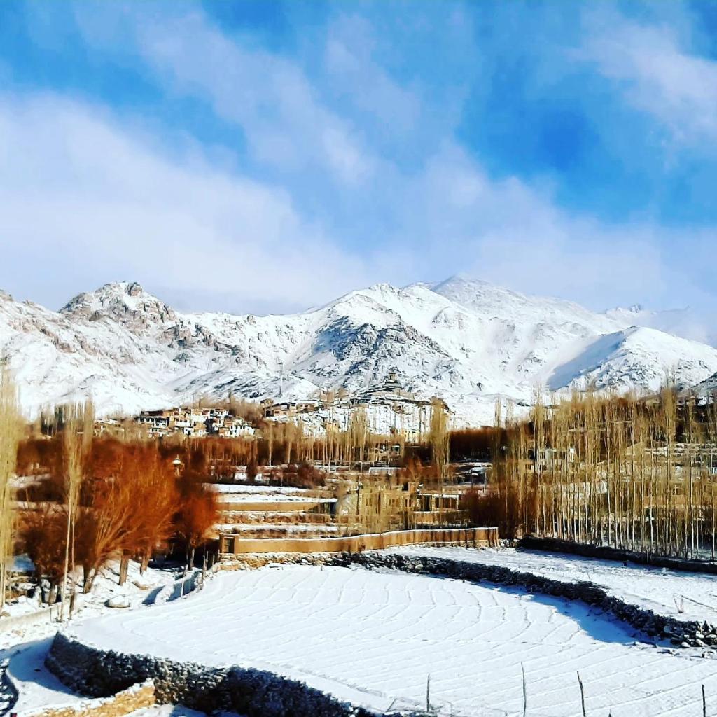 Двухместный (Двухместный номер с 1 кроватью, вид на сад), Ladakh Country Inn