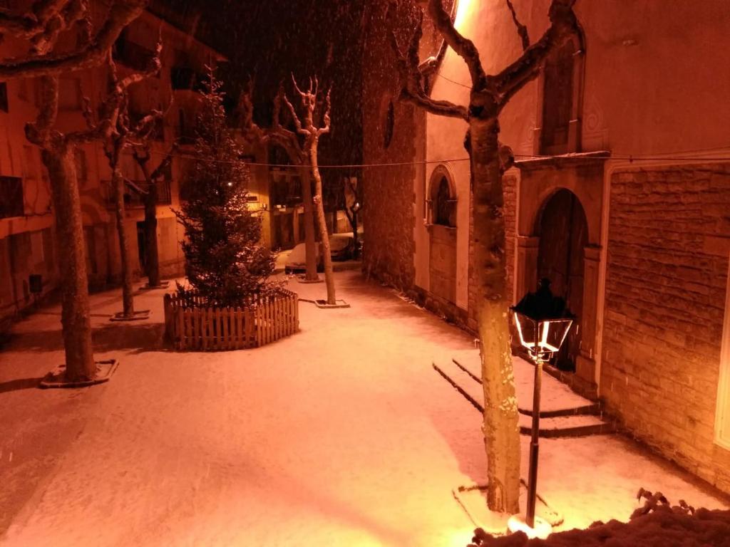 Escloper B&B photo 2