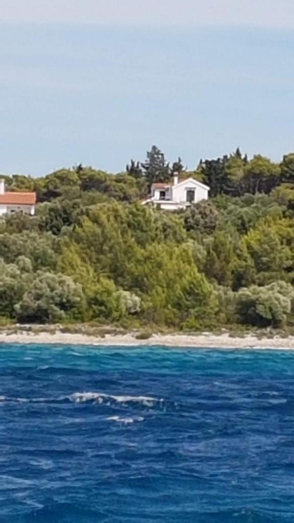 Holiday Home Subasic photo 4