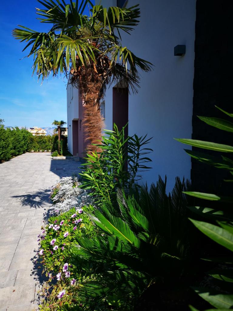 Villas A & N photo 2
