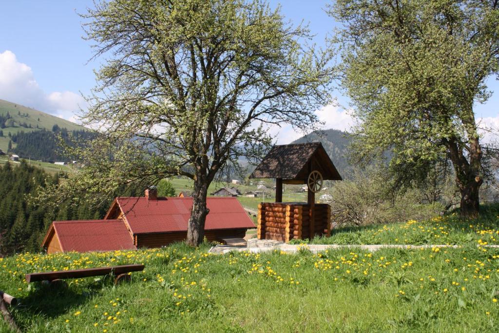Polonyna photo 4