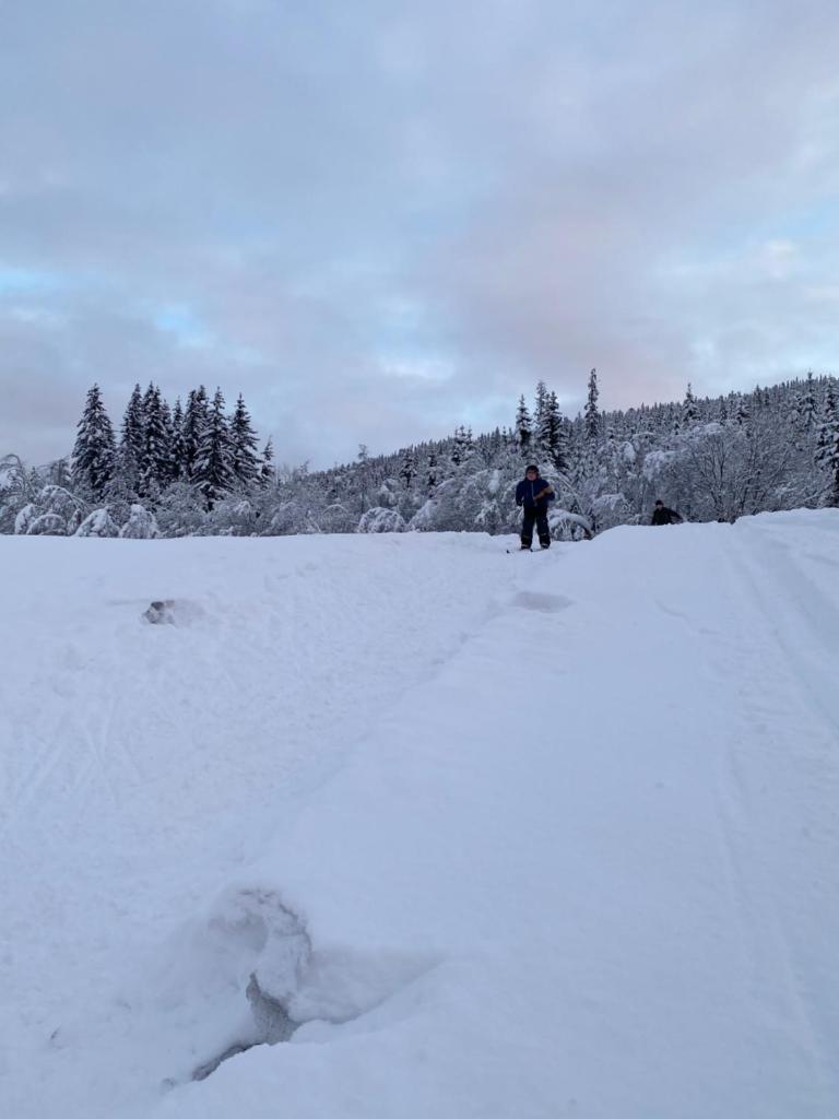 Tuddal Hyttegrend, GAMLESTUGU, Telemark photo 2