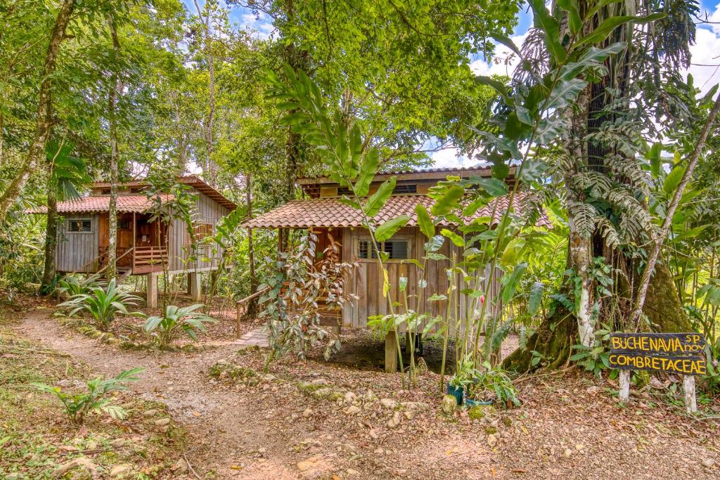 Selva Bananito Lodge photo 3