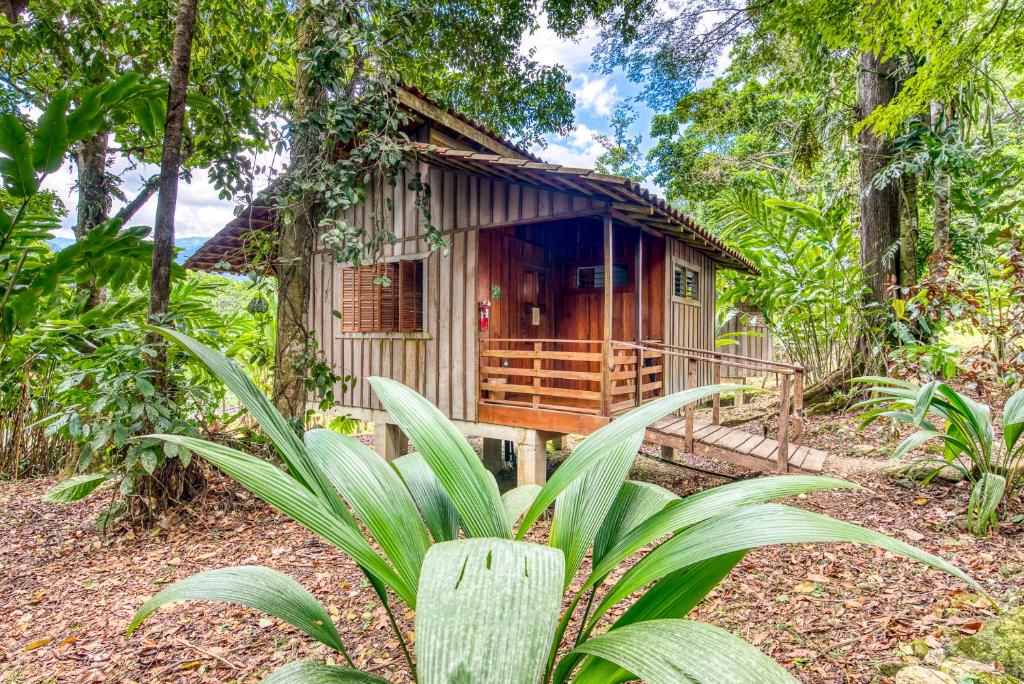 Selva Bananito Lodge photo 4