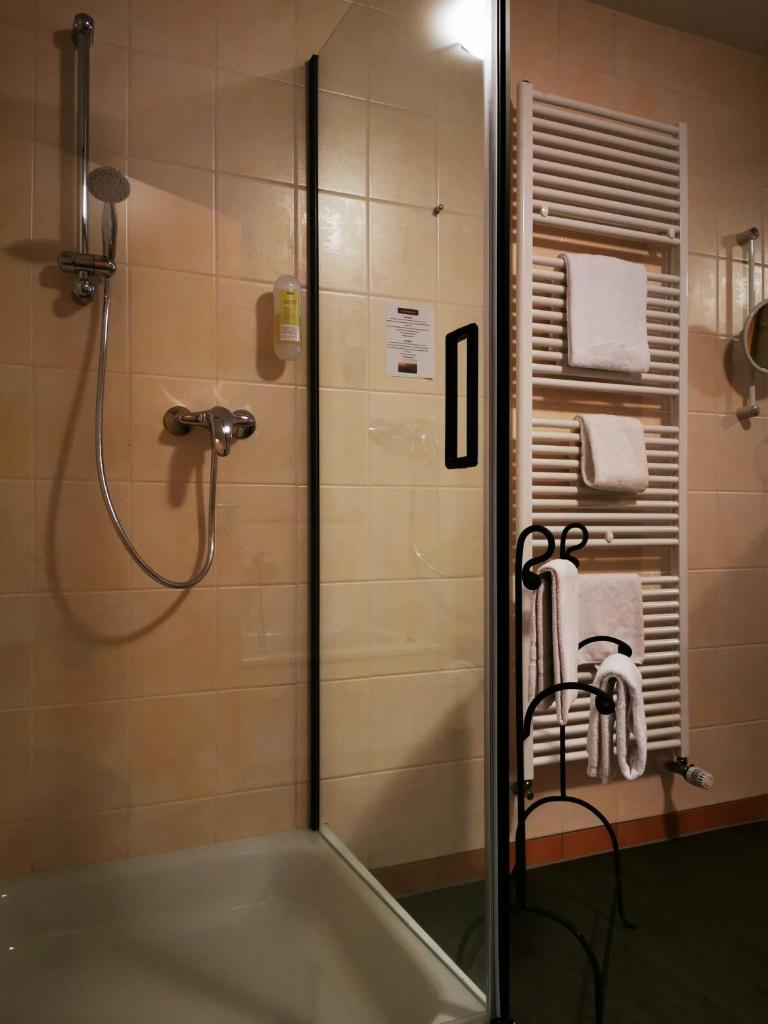 Сьюит (Полулюкс), Hotel Löwenstein