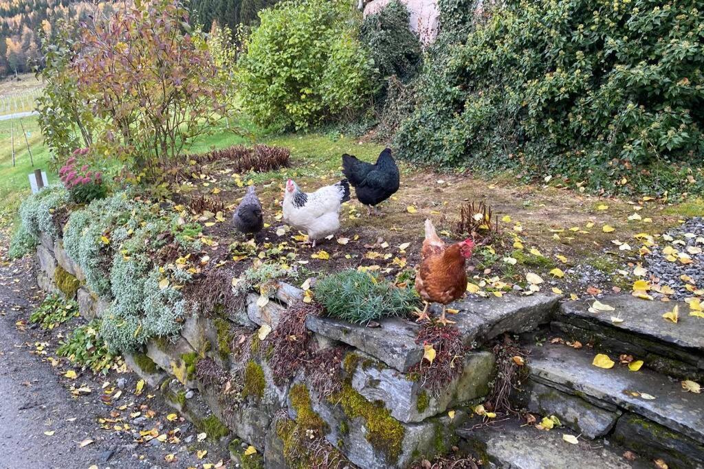 The house of Mattis in beautiful Innvik photo 4