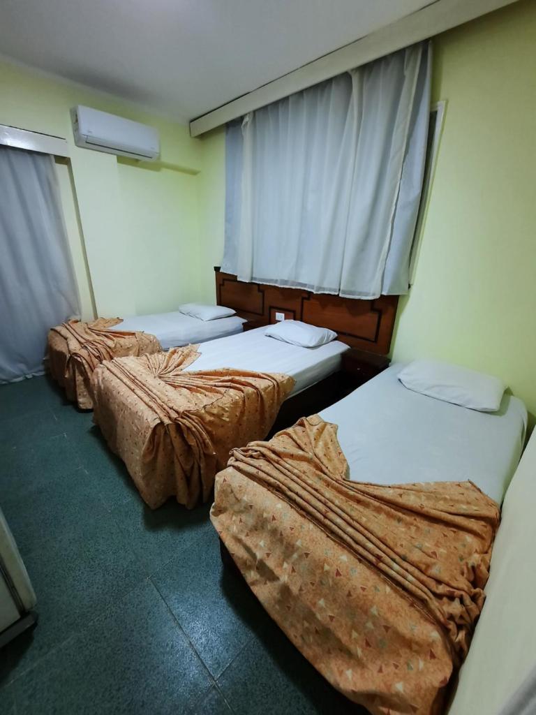 Трехместный (Трехместный номер), Elgezria Hotel