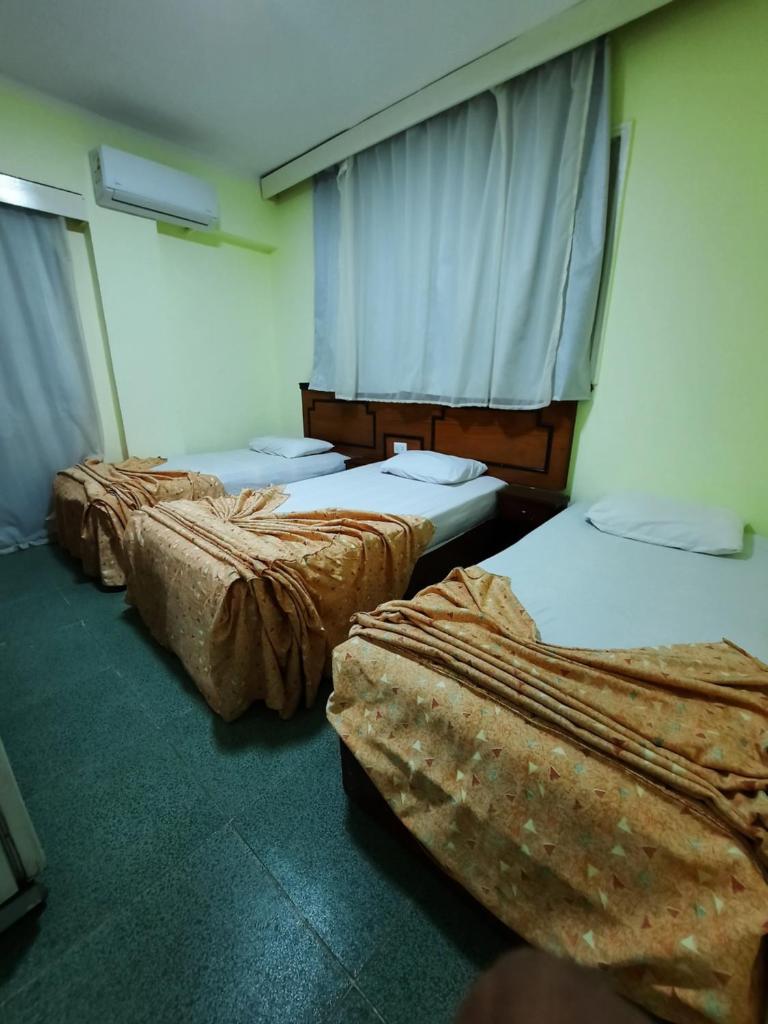 Трехместный (Трехместный номер), Elgezria Hotel