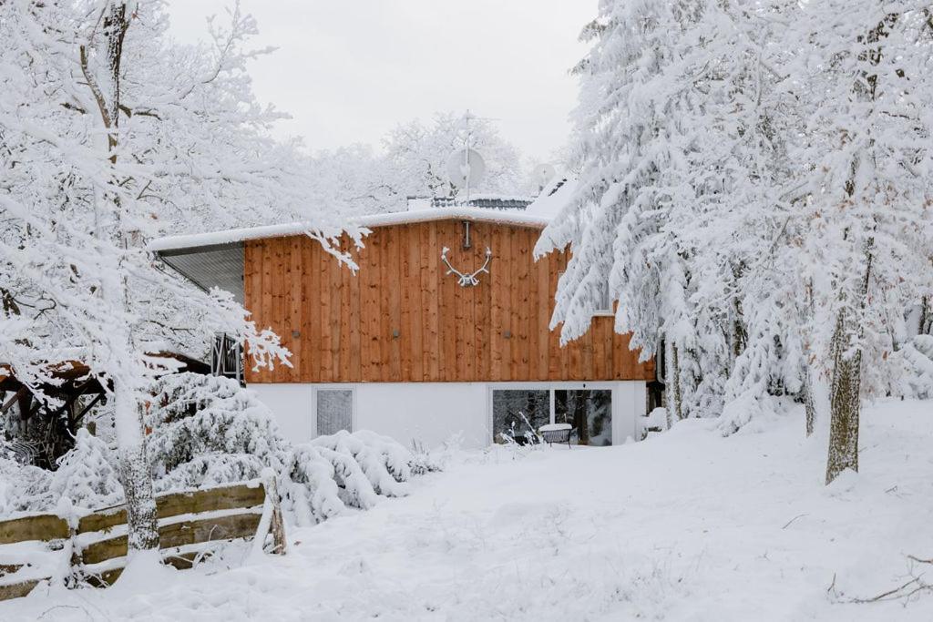 Двухместный (Двухместный номер с 1 кроватью, Harzerhaus), Pension Forsthaus Georgshöhe
